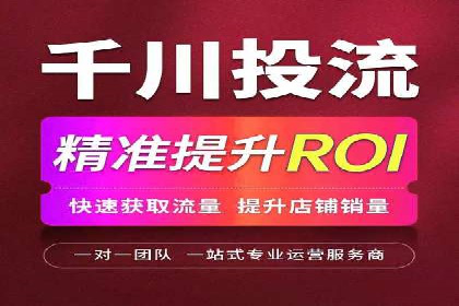 百度竞价与搜索引擎优化（SEO）结合的经典案例